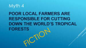 Graphic: Myth 4 - Poor local farmers are responsible for cutting down the World's tropical forest - Fiction.