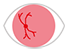 Icon: Diabetic retinopathy