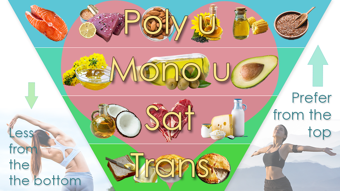 Types of alimentary fats recommended by WHO in 2019